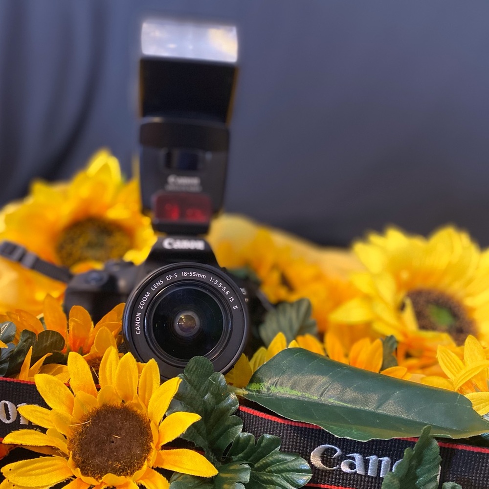 Meet your Posher, Veronica